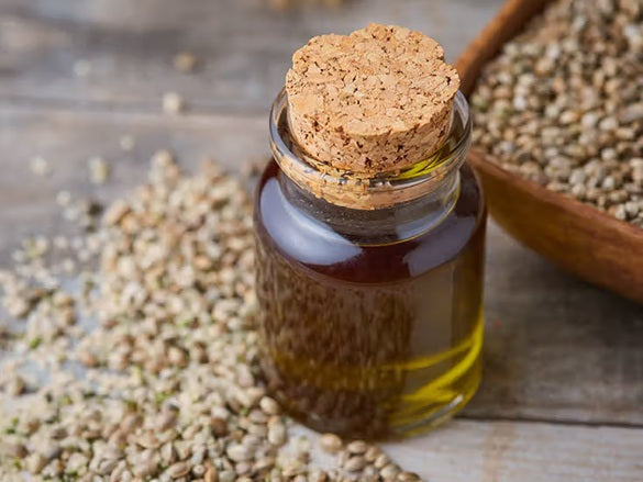 Kaņepju sēklu eļļa